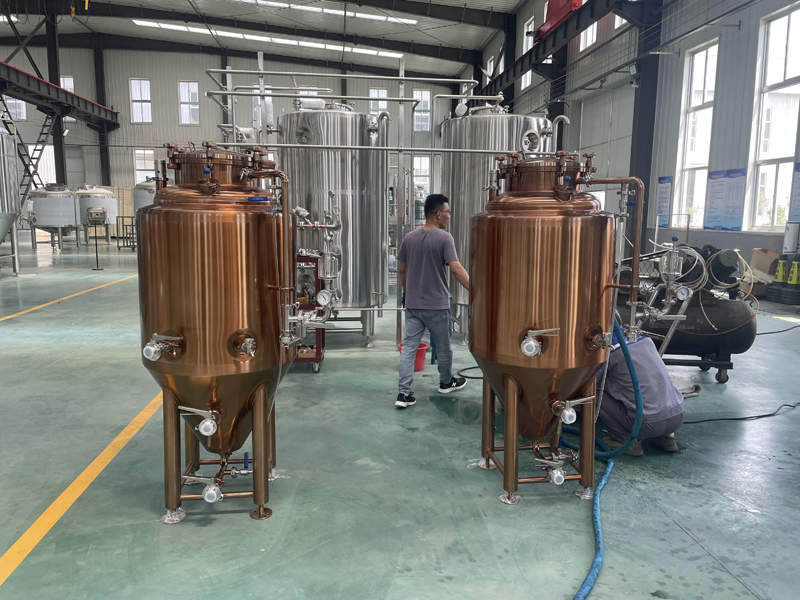 Customized 300L beer tank shipped to Germany