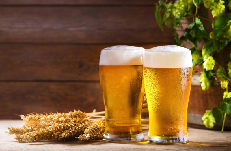 The Difference Between Making Ales and Lagers