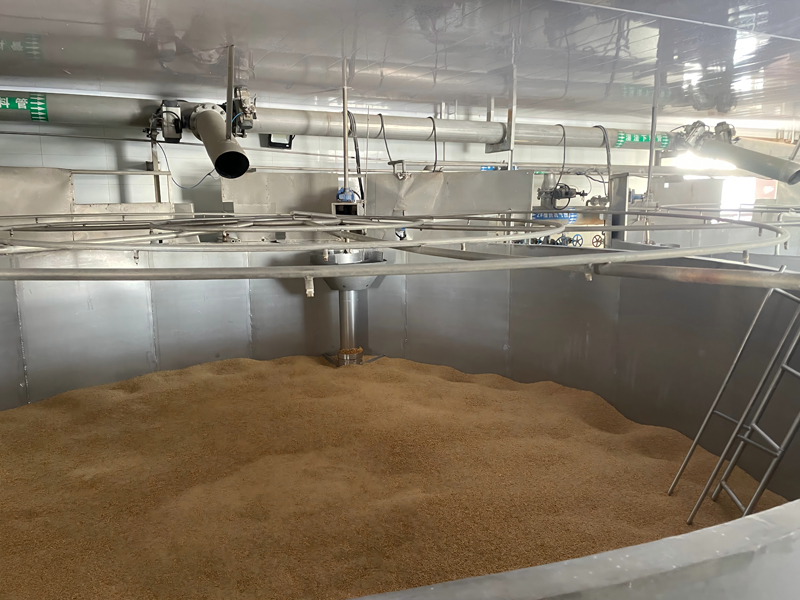 What is malt in beer brewing?